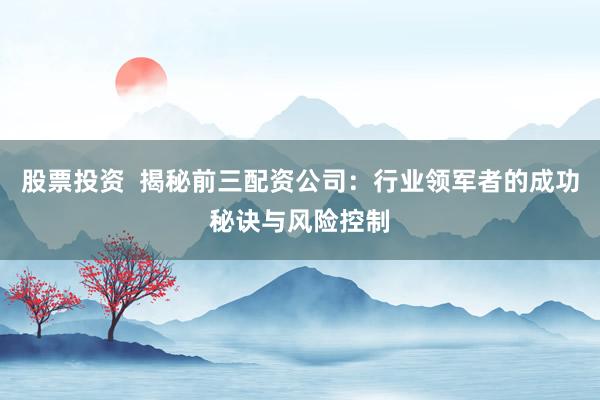 股票投资  揭秘前三配资公司：行业领军者的成功秘诀与风险控制
