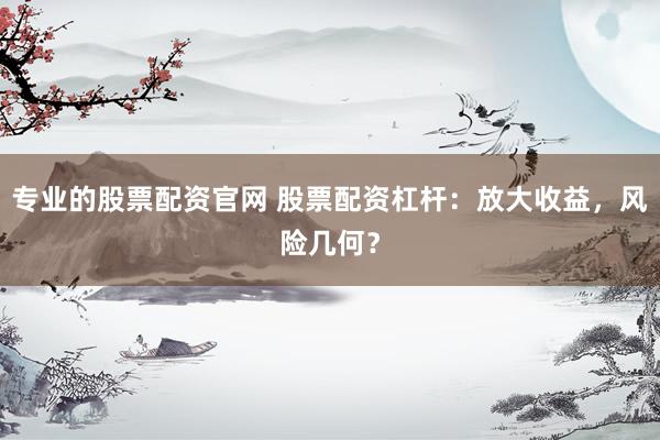 专业的股票配资官网 股票配资杠杆：放大收益，风险几何？