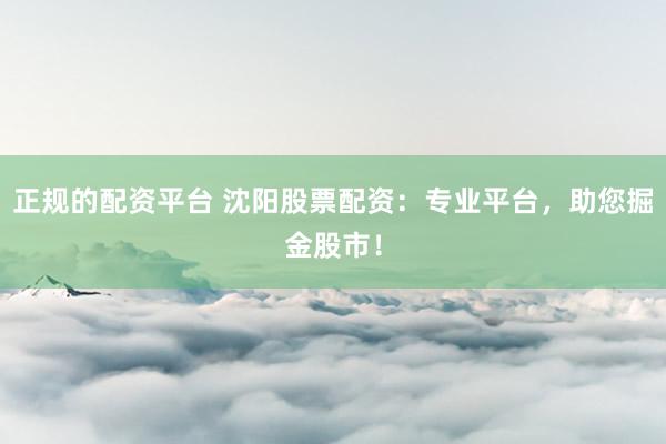 正规的配资平台 沈阳股票配资：专业平台，助您掘金股市！