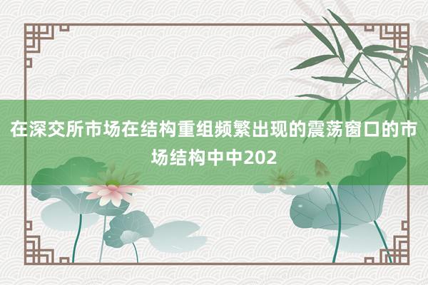 在深交所市场在结构重组频繁出现的震荡窗口的市场结构中中202