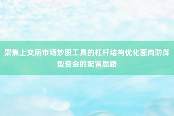 聚焦上交所市场炒股工具的杠杆结构优化面向防御型资金的配置思路